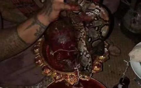 泰国血降是什么意思？详解泰国血降厉害吗