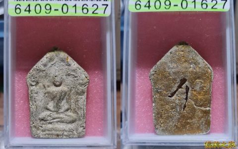 龙婆添第一期波力坤平大模