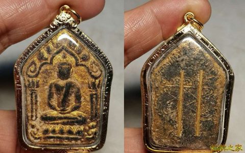 龙婆tim庙出坤平背面双符管佛牌